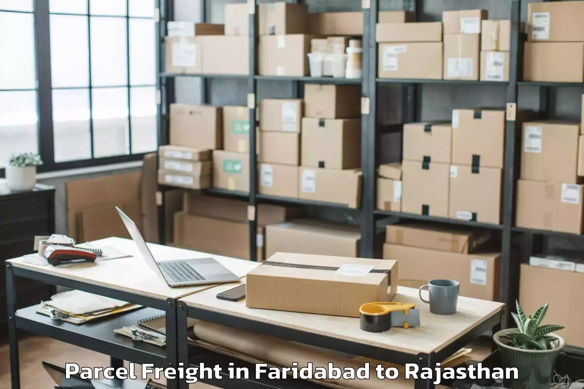 Efficient Faridabad to Opjs University Churu Parcel Freight